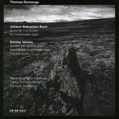 Veress: Sonata For Violin Solo: 3. Allegro molto | Boomplay Music