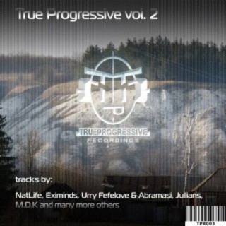 True Progressive Vol. 2