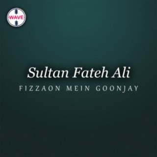 Sultan Fateh Ali