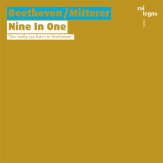 Beethoven / Mitterer: Nine In One