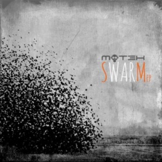 Swarm EP