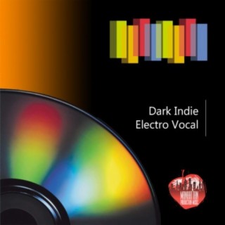 Dark Indie Electro Vocal