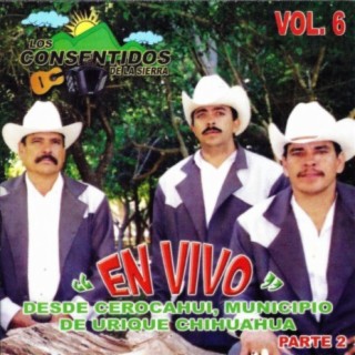 En Vivo Vol.6