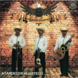 Trio Gavilanes Huastecos