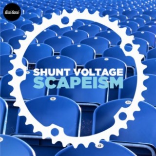 Shunt Voltage