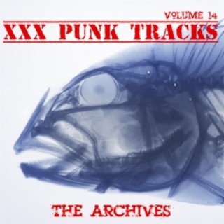 XXX Punk Tracks: The Archives, Vol. 14