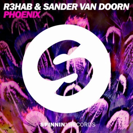 Phoenix ft. Sander van Doorn | Boomplay Music