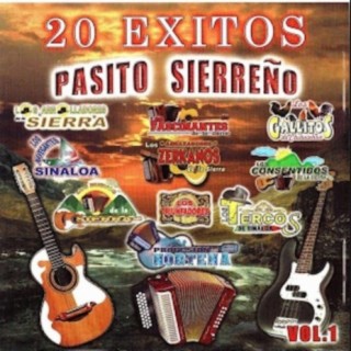 20 Exitos Vol.1