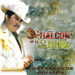 Guitarras De Sinaloa
