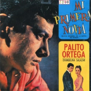 Palito Ortega