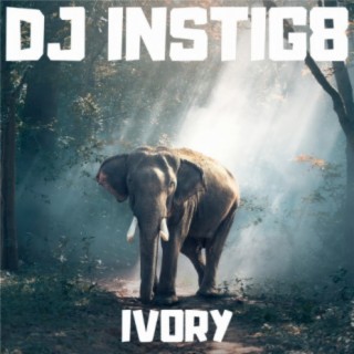DJ Instig8