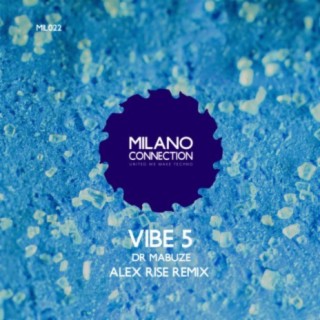 Vibe 5 (Alex Rise Remix)