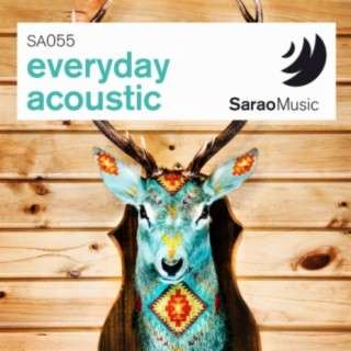 Everyday Acoustic