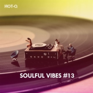 Soulful Vibes, Vol. 13