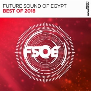 FSOE - Best Of 2018
