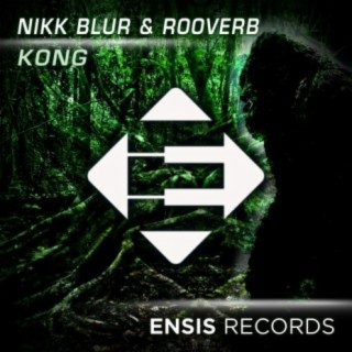 Nikk Blur & Rooverb