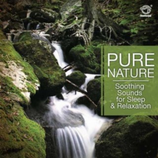 Pure Nature Soothing Sounds For Sleep And Relaxation