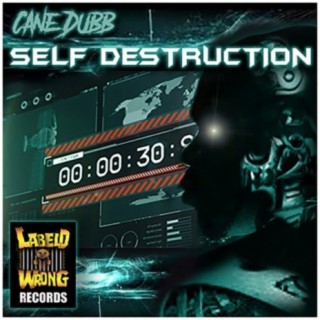 Self Destruction