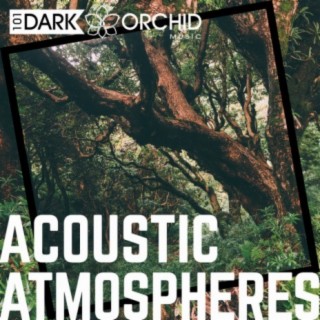 Acoustic Atmospheres