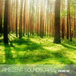 Ambient SoundScapes, Vol 6