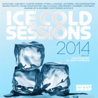 Ice Cold Sessions 2014 Mixed By Luca Guerrieri aka Josh Feedblack