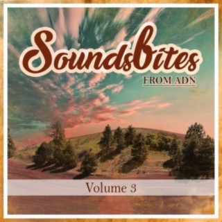 Soundbites From ADN, Vol. 3