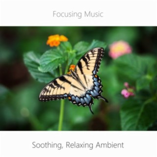 Soothing, Relaxing Ambient. Learning Music. Reading Music. Background Music.