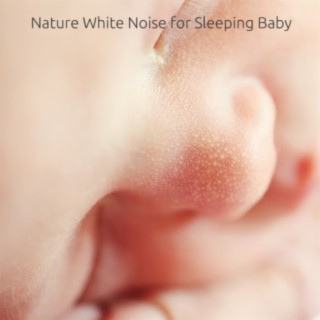 Nature Pink Noise Sleep. Relax Noise, Sleeping Noise, Chillout Noise. Pink Noise for Sleeping, Chilling, Focusing and Relaxing.