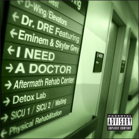 I Need A Doctor ft. Eminem & Skylar Grey