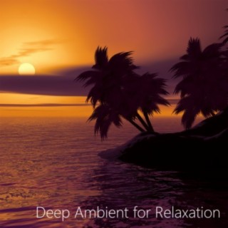 Ambient Relaxation. Unwind, Relax and Chill.