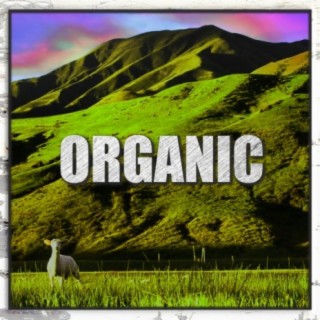 Organic