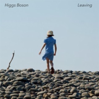 Higgs Boson