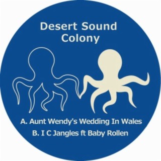 Aunt Wendy's Wedding In Wales