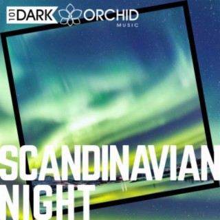 Scandinavian Night
