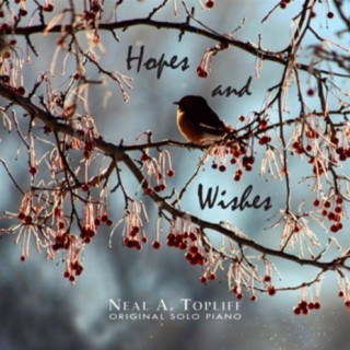 Hopes And Wishes