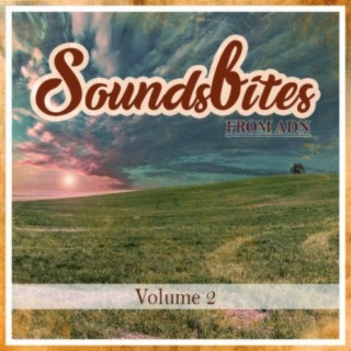 Soundbites From ADN, Vol. 2