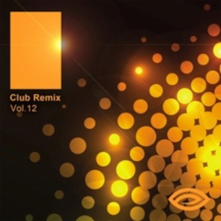 Club Remix, Vol. 12