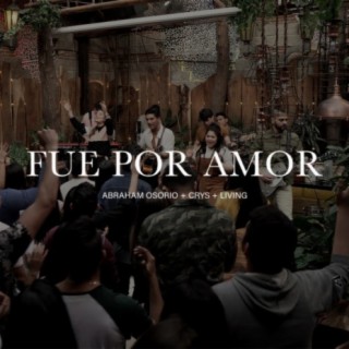 Fue Por Amor