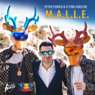 Download Peter Power album songs: M.A.L.L.E. | Boomplay Music