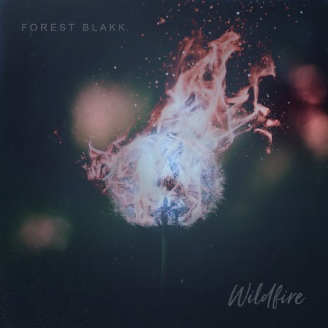 Wildfire | Boomplay Music