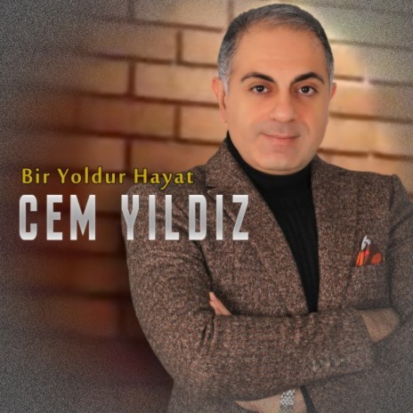 Bir Yoldur Hayat | Boomplay Music