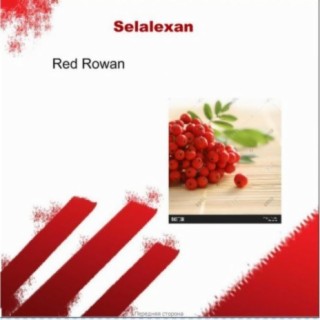 Red Rowan