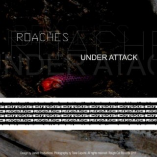 The Roaches