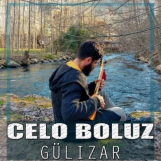 Celo Boluz