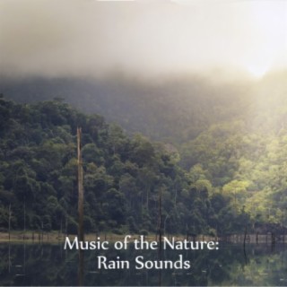 Nature Rain Sounds Relaxation. Music of the Nature: Rain Sound
