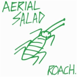 Aerial Salad