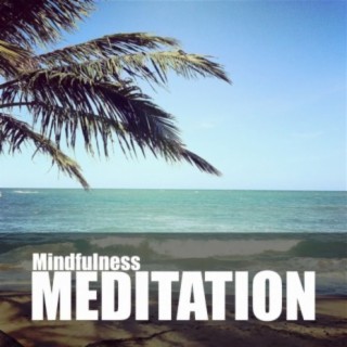 Mindfulness Meditation