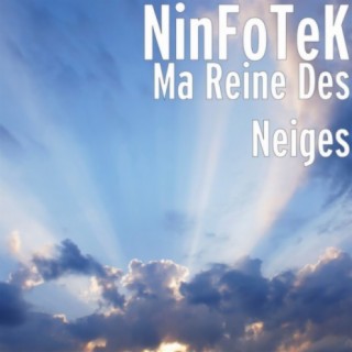 NinFoTeK