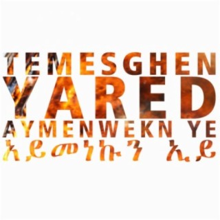 Temesghen Yared
