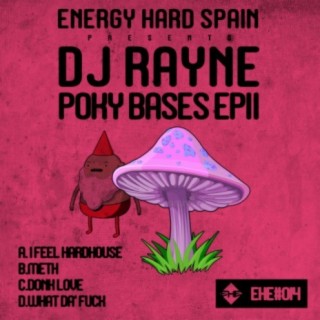 DJ Rayne